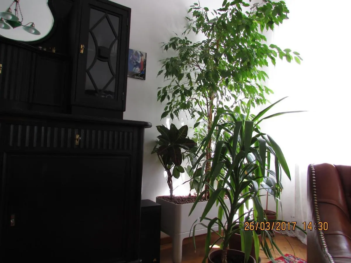 Art Nouveau Apartment Viena